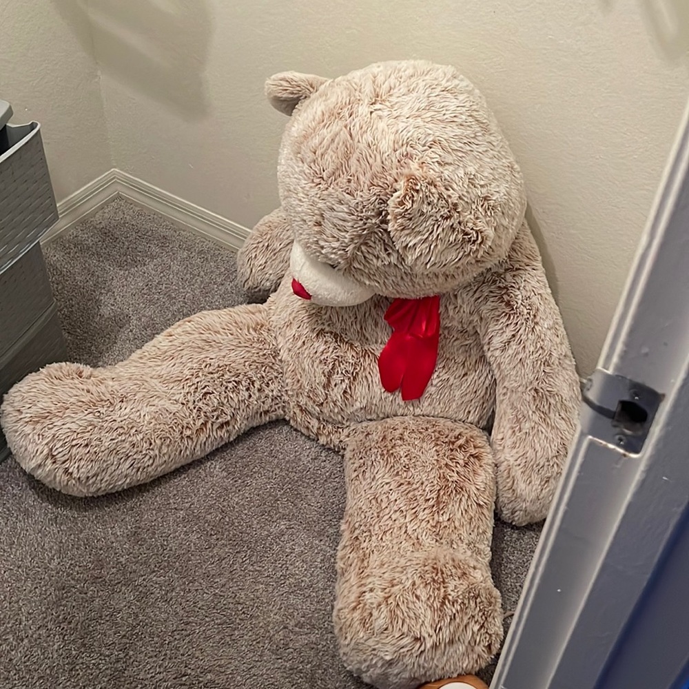 Big Teddy Bear